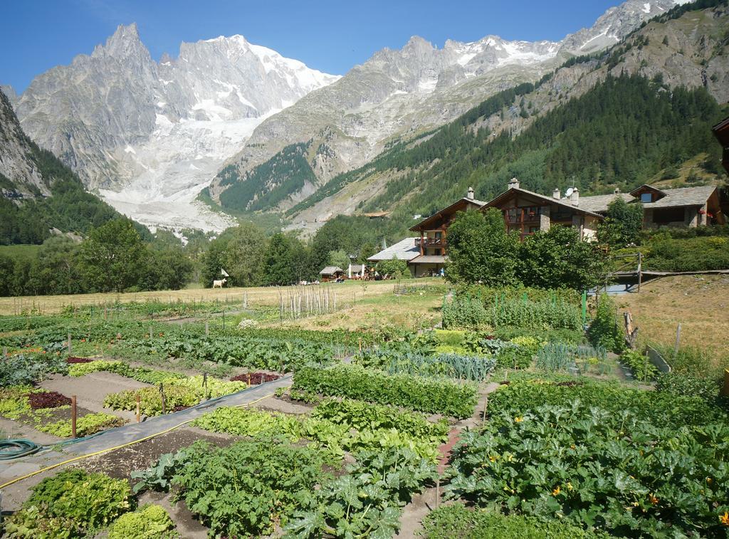 Hotel Aiguille Noire Courmayeur Exterior foto